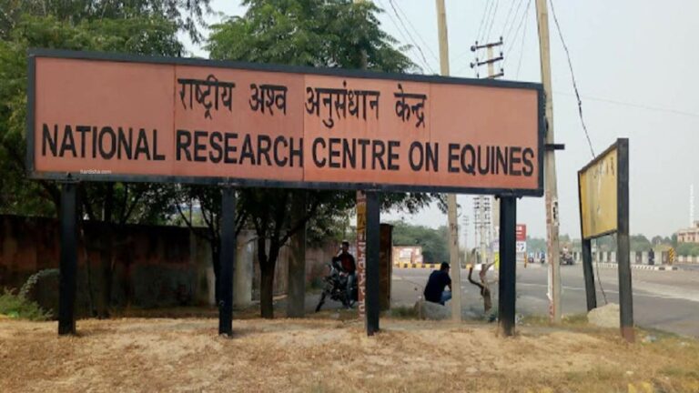National Research Centre on Equines Hisar - NRCE Hisar